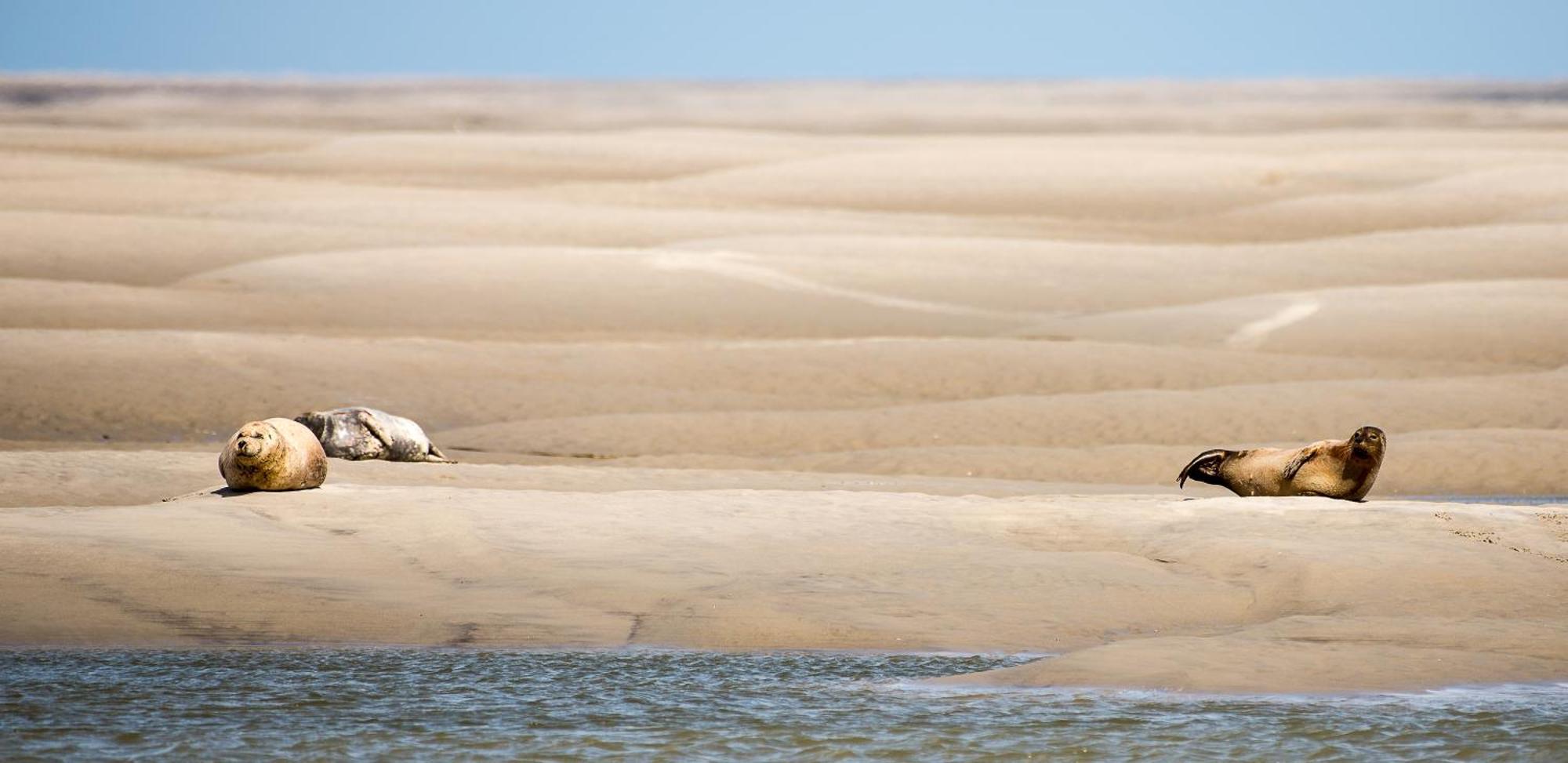 Odyssee Gite Sur Peniche Сен-Валері-сюр-Сомм Екстер'єр фото